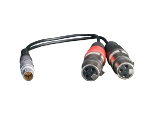 XLR Breakout Cable Input only